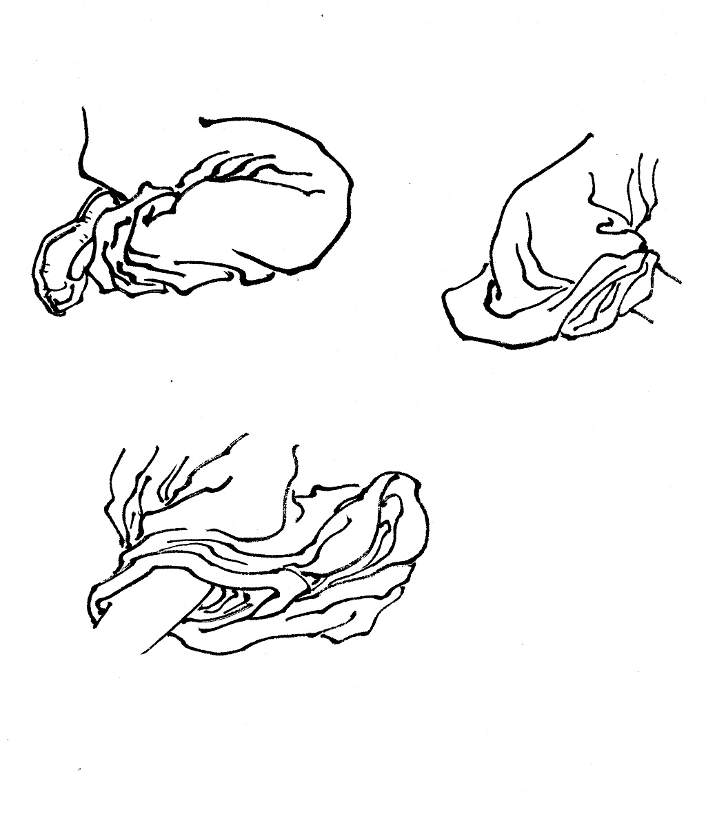 十八描法
