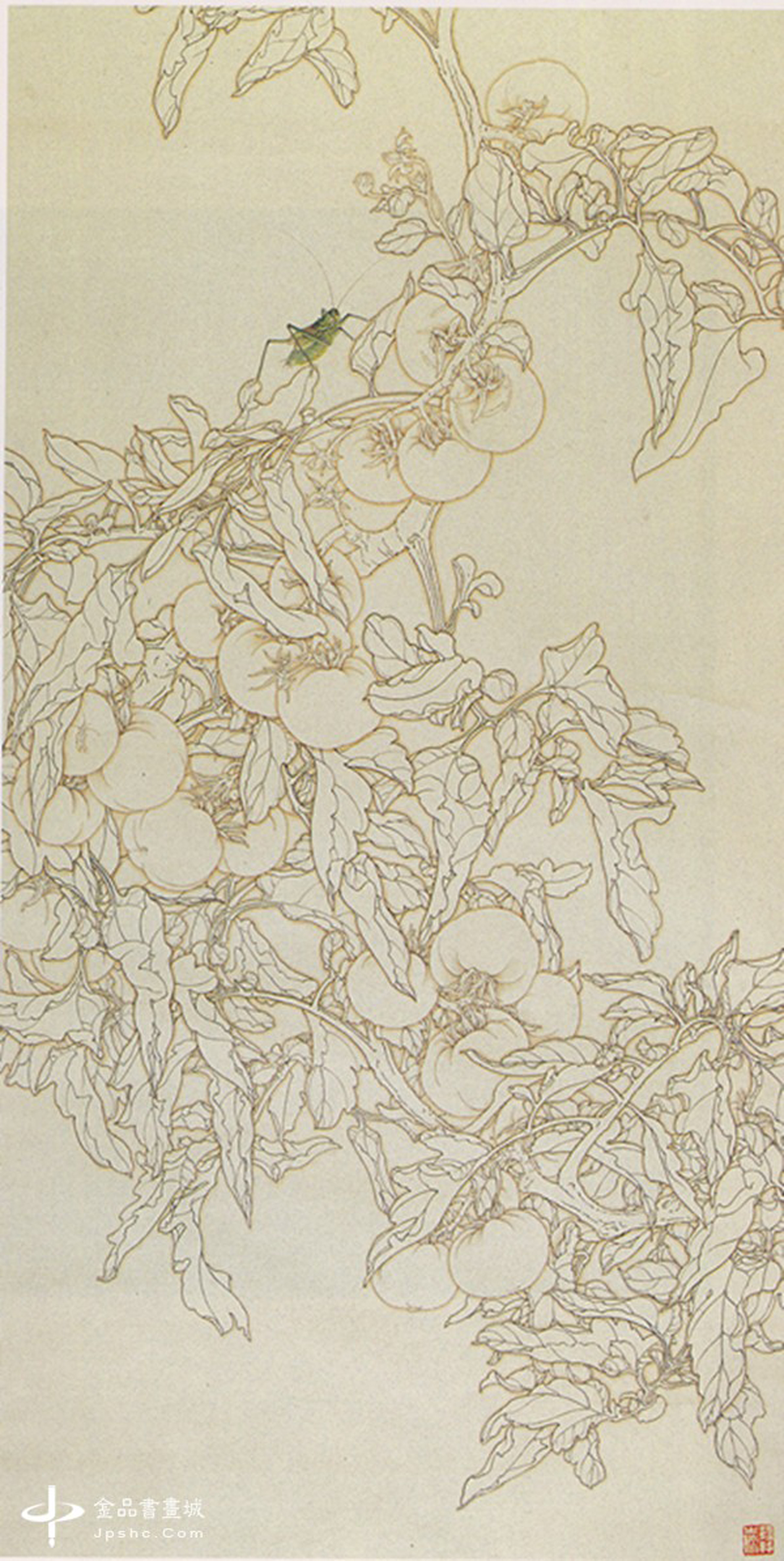劉新華